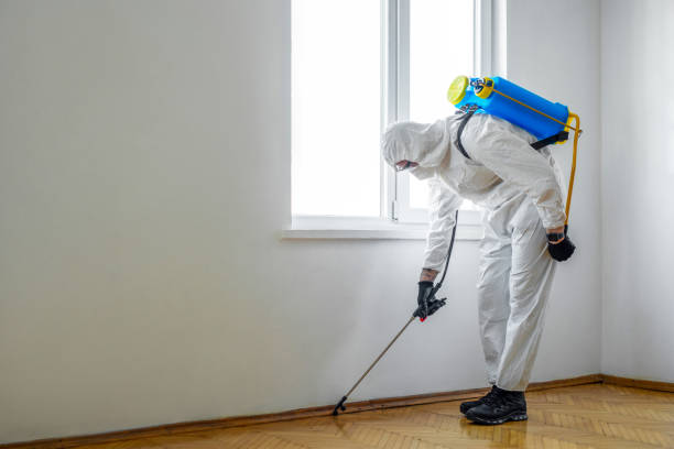 Best Termite Inspection and Treatment  in Eastpointe, MI